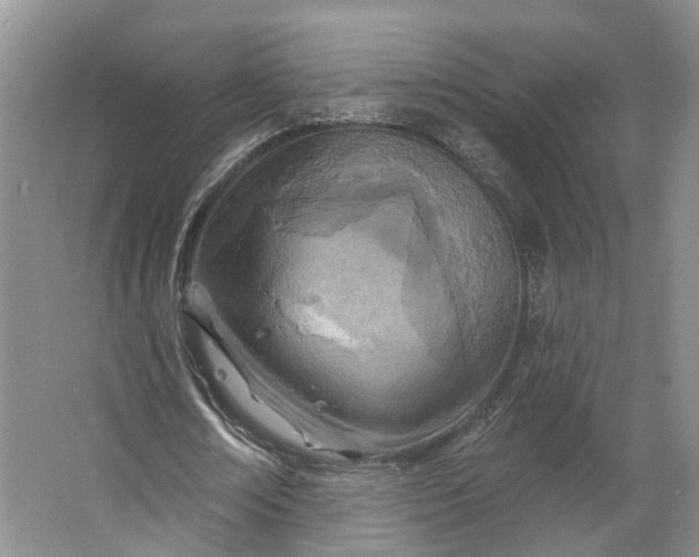 X0000062790674200601051046