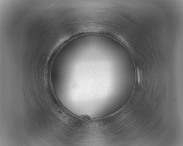 X0000062790675200601051046