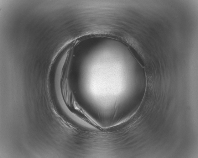 X0000062790676200601051046