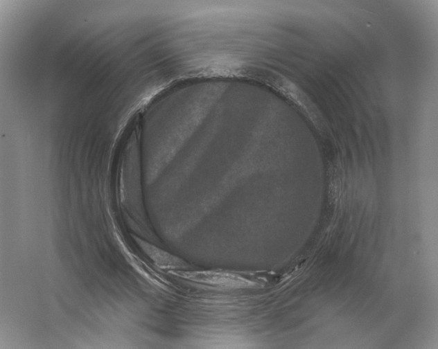 X0000062790677200601051046