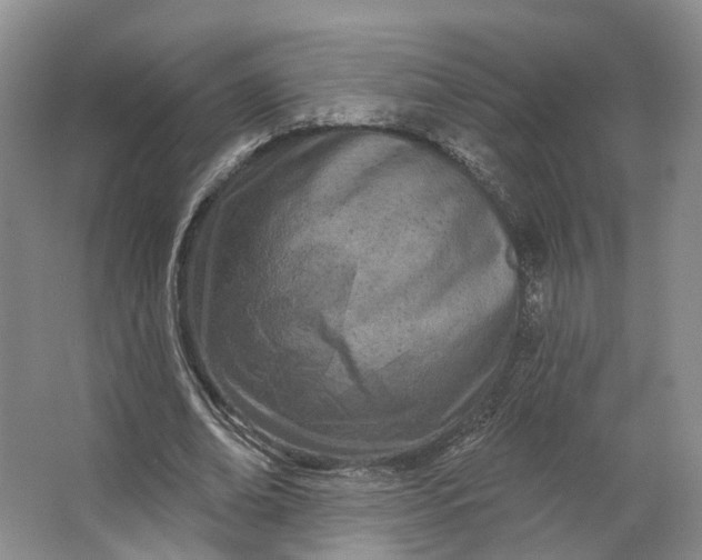 X0000062790678200601051046