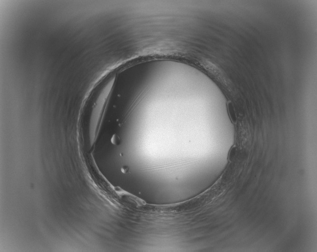 X0000062790680200601051046