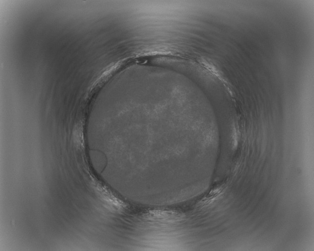 X0000062790681200601051046