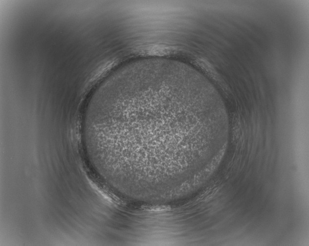 X0000062790683200601051046