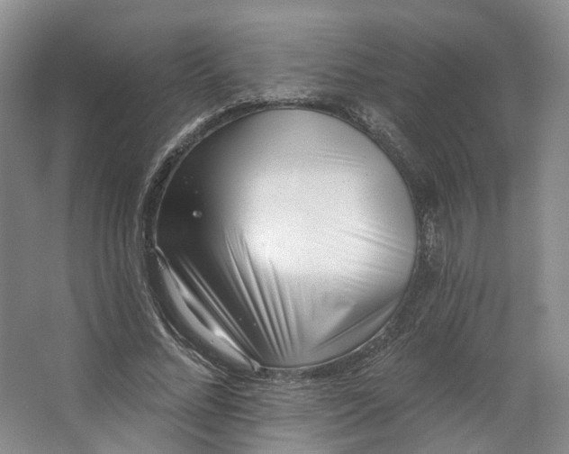 X0000062790684200601051046