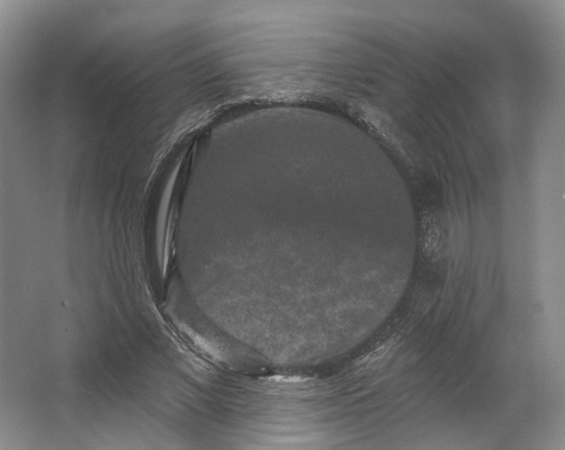 X0000062790685200601051046