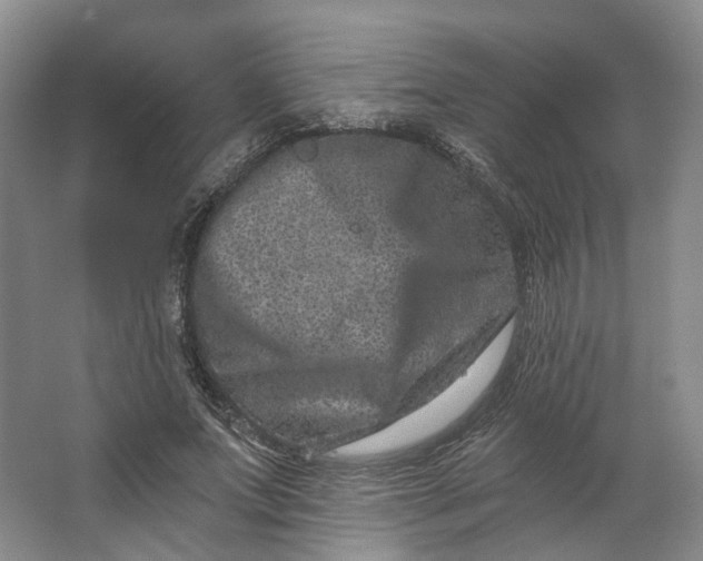 X0000062790687200601051046