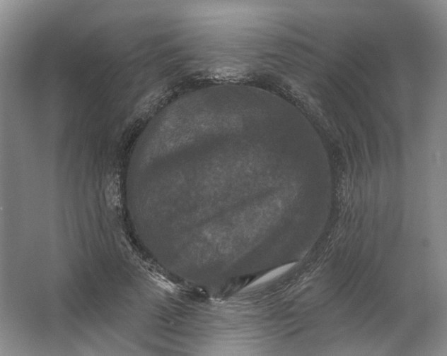 X0000062790689200601051046