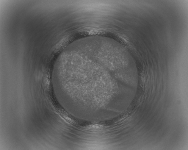 X0000062790691200601051046