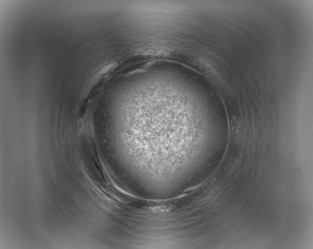 X0000062790692200601051046