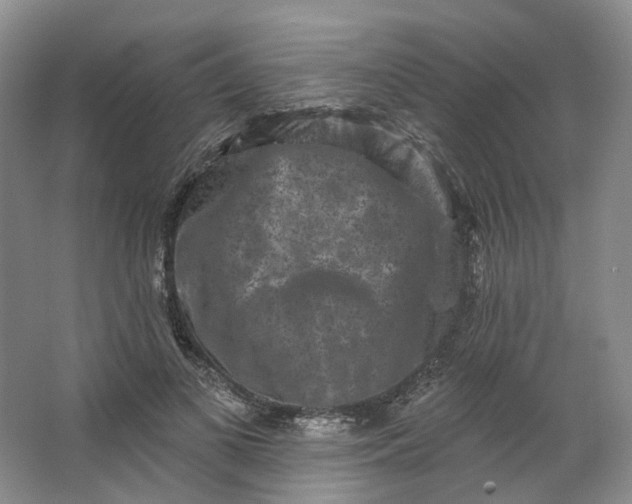 X0000062790693200601051046