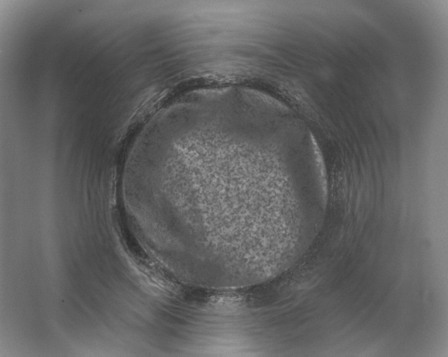 X0000062790694200601051046