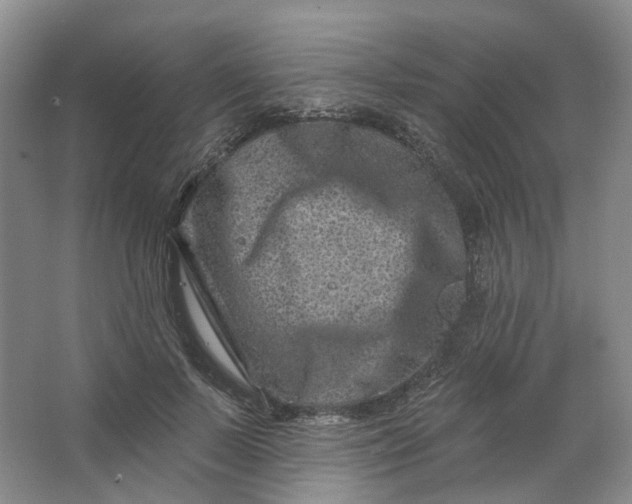 X0000062790695200601051046