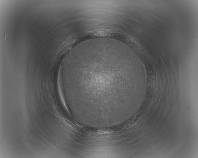 X0000062790696200601051046