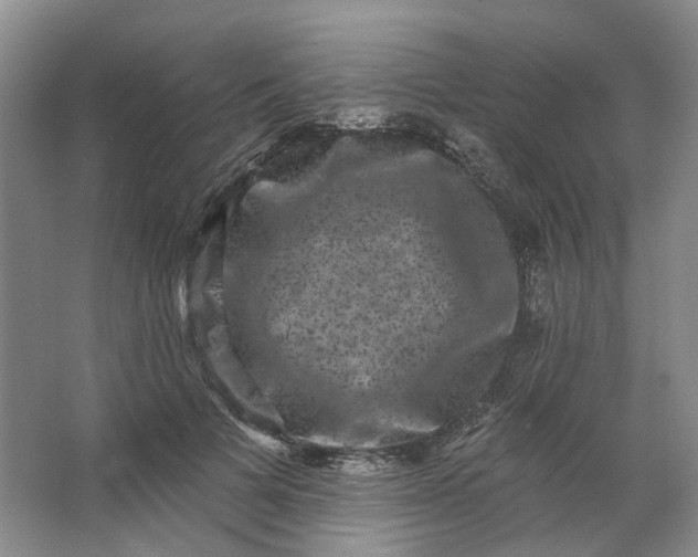 X0000062790697200601051046