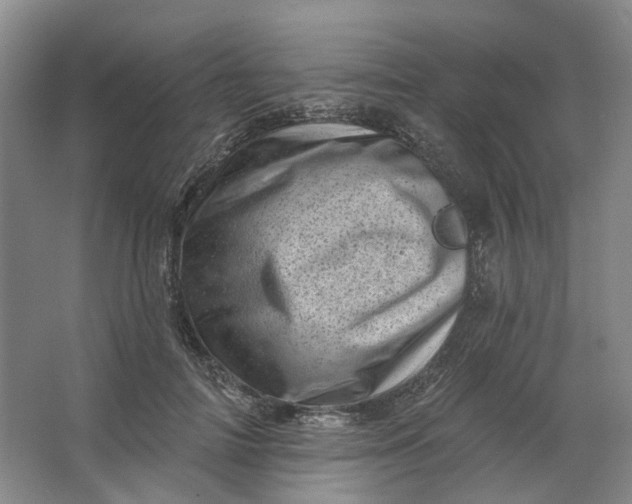 X0000062790698200601051046