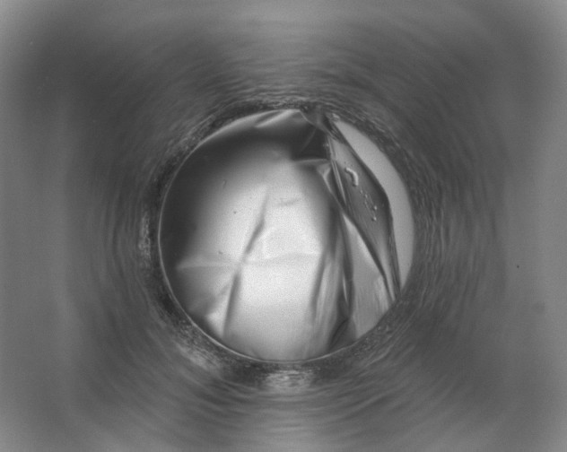 X0000062790700200601051046