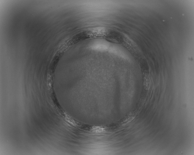 X0000062790701200601051046