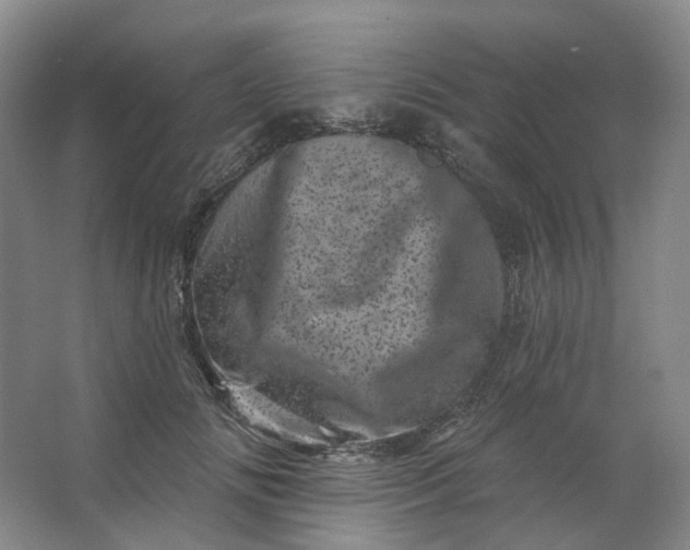 X0000062790702200601051046