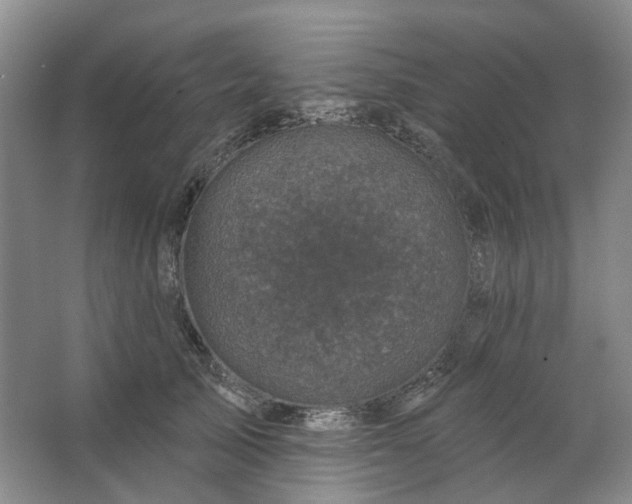 X0000062790705200601051046