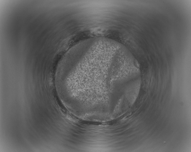 X0000062790706200601051046