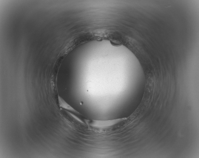 X0000062790707200601051046