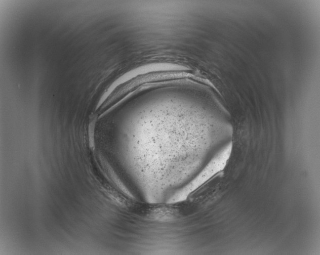 X0000062790708200601051046