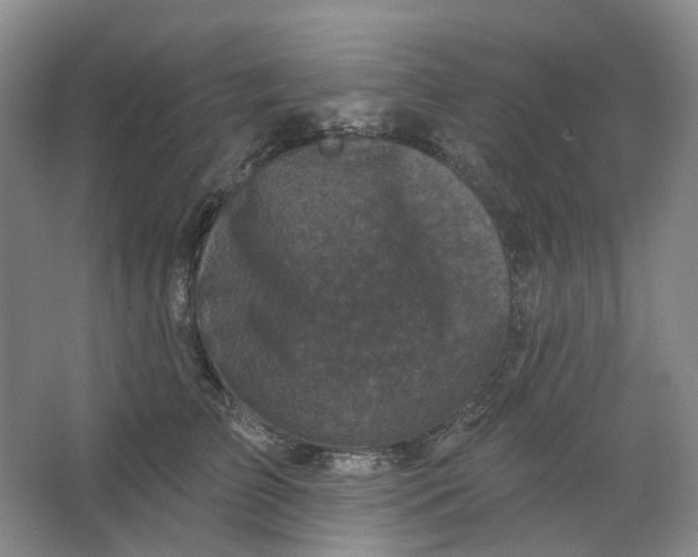 X0000062790709200601051046