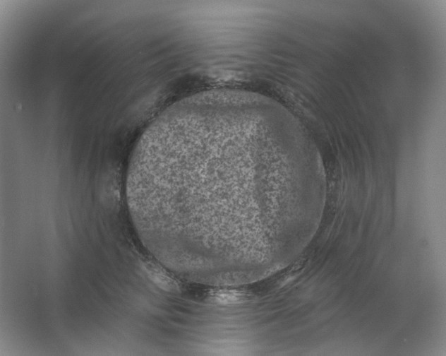 X0000062790710200601051046