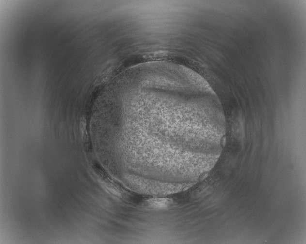 X0000062790711200601051046