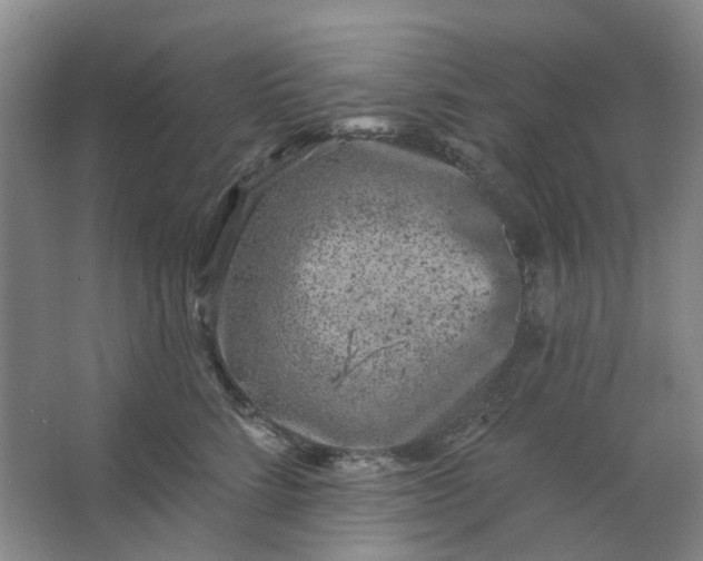 X0000062790712200601051046