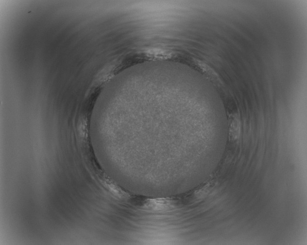 X0000062790713200601051046