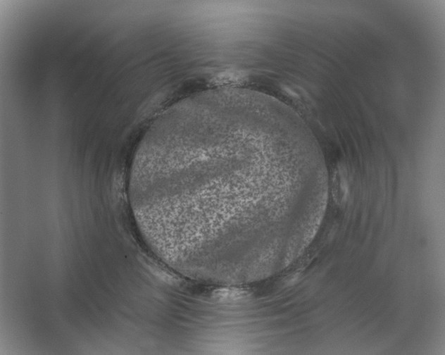 X0000062790714200601051046