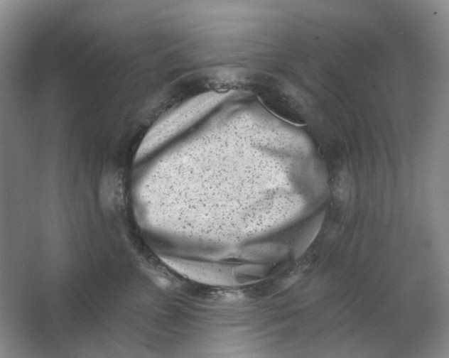 X0000062790715200601051046