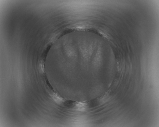 X0000062790718200601051045