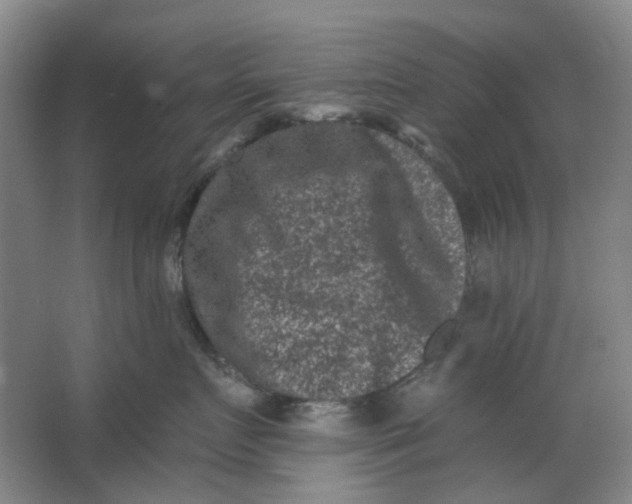 X0000062790719200601051045