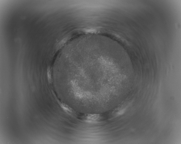 X0000062790720200601051045