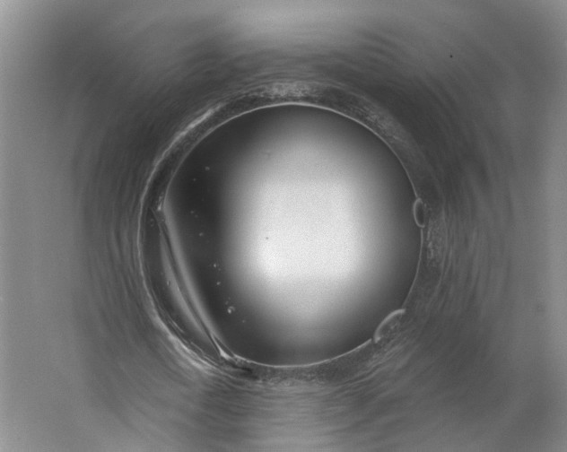 X0000062790722200601051045