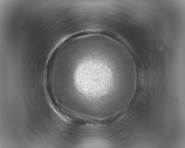 X0000062790726200601051045