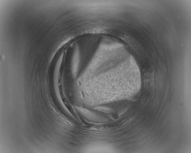 X0000062790727200601051045