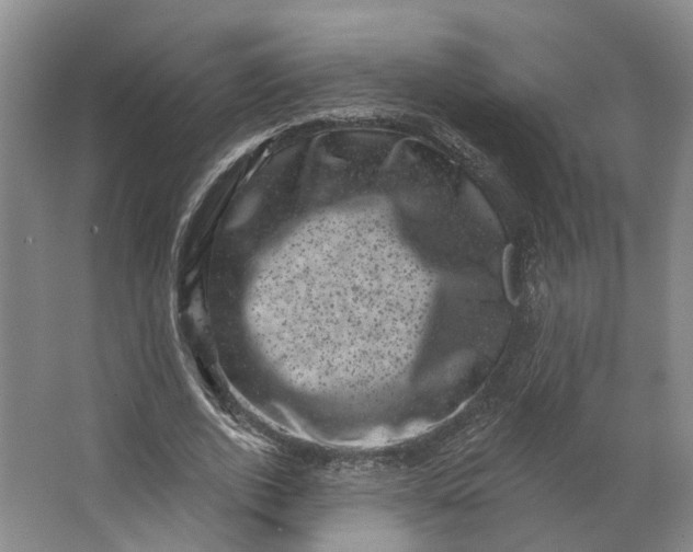 X0000062790728200601051045