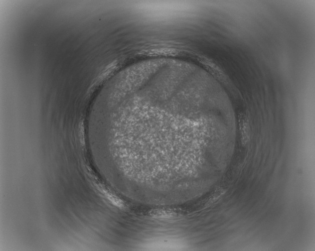 X0000062790729200601051045