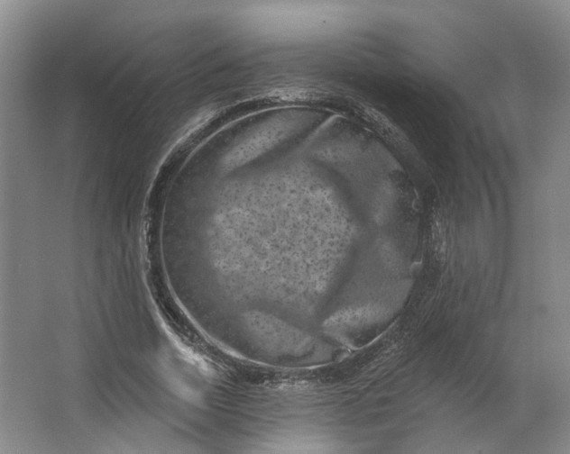 X0000062790730200601051045