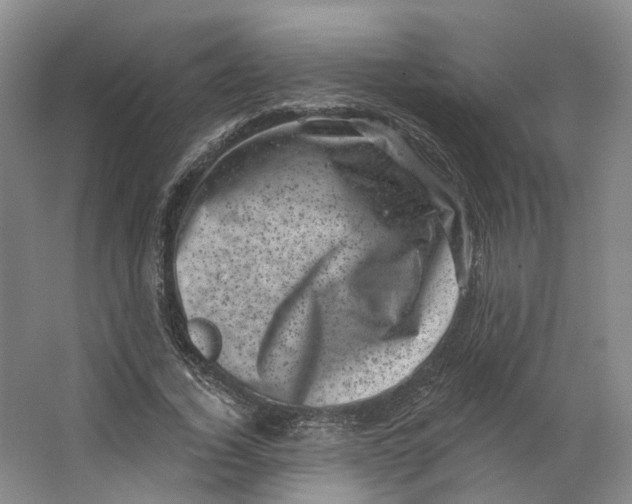 X0000062790732200601051045