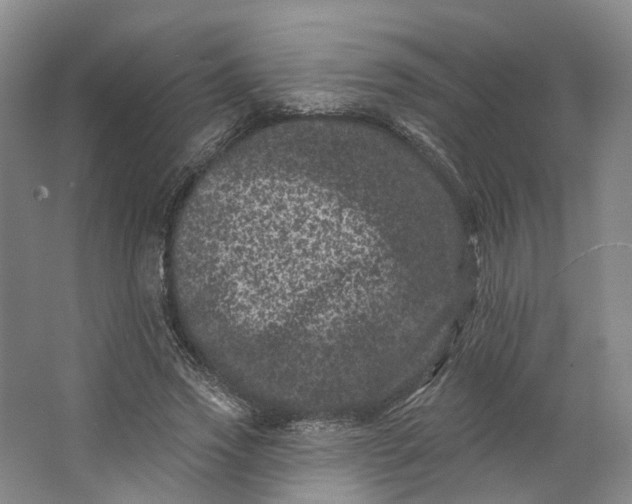 X0000062790733200601051045