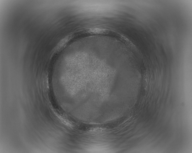 X0000062790734200601051045