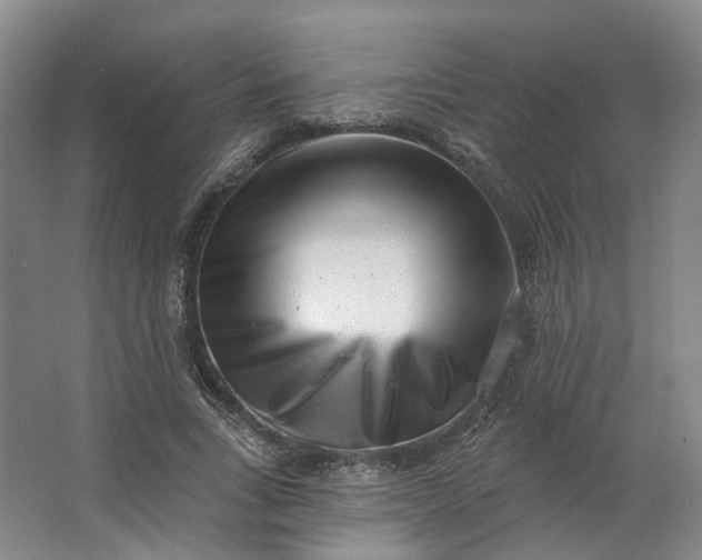 X0000062790735200601051045