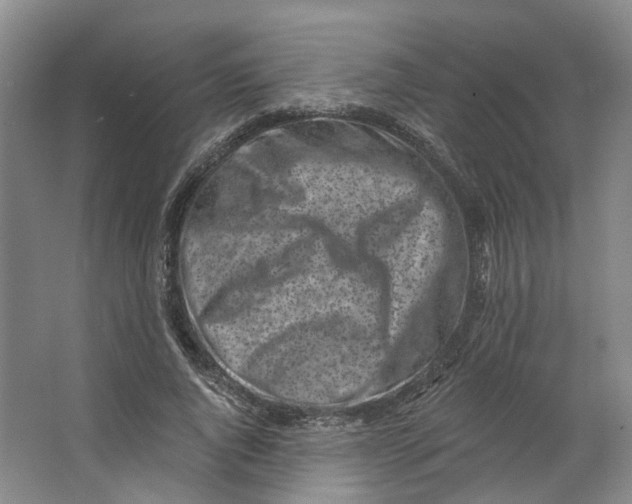 X0000062790736200601051045