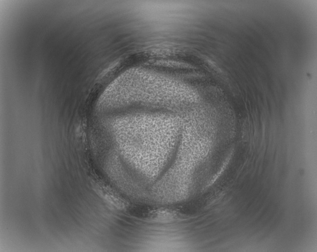 X0000062790737200601051045