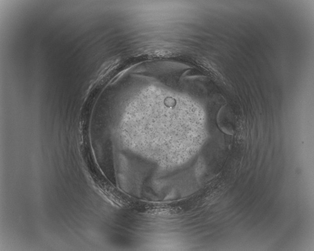 X0000062790738200601051045